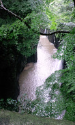 PAP_0051