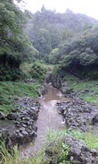PAP_0044