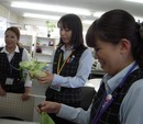 DSCN5293