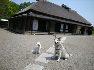 おかしな二人。