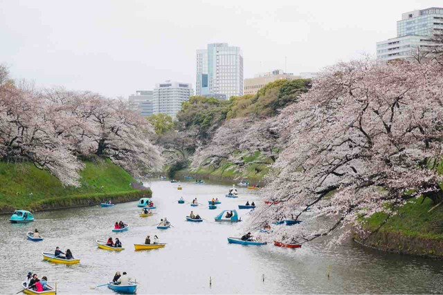 千鳥ヶ淵と目黒川【過去ブログより】 - 通訳案内士のノート