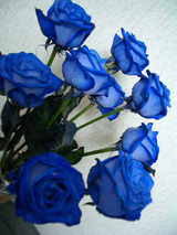 e6ba193d.jpg