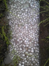 Image027