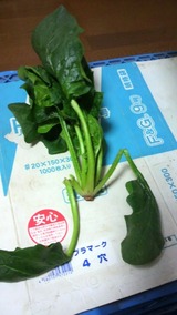 2012022310200000