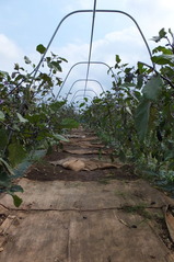 2012_1002AA
