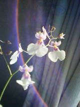 201001030954