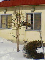 201001311016