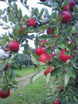 200909190845