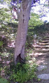20100531112402