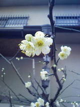 200902221025