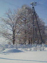201002170904