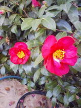 201002161147
