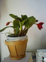 201002031245