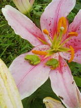 200907281626