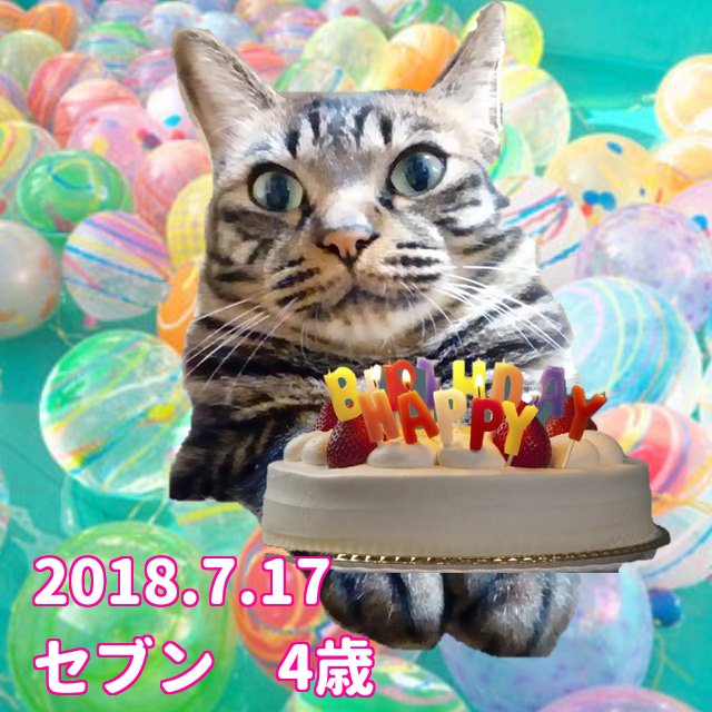 LERWfgUIS0p341E1531641000_1531641194