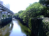 DSCF8591