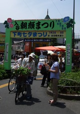 iriyajpg