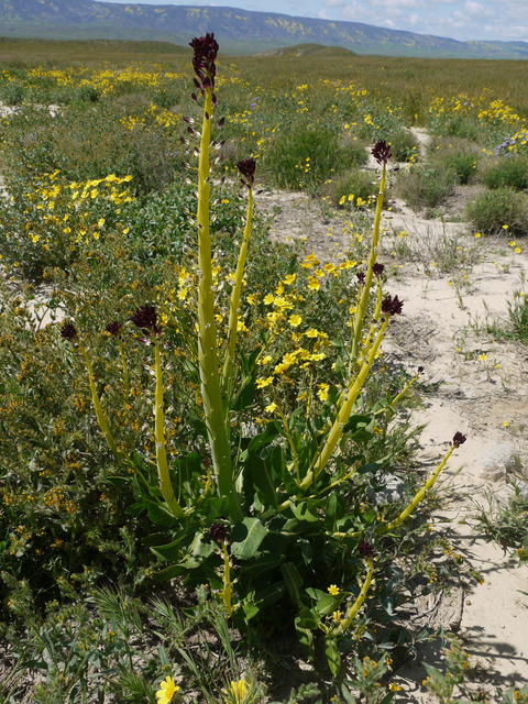 P1160238
