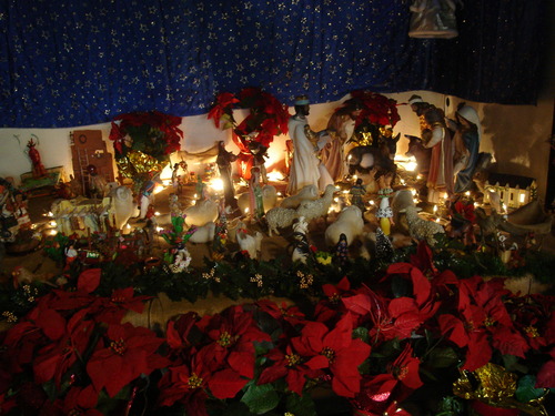 DSC00648