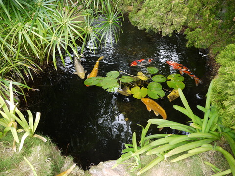 P1120620