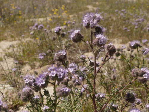 P1160010