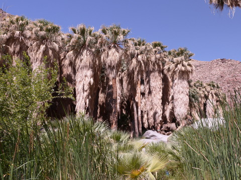 P1110761