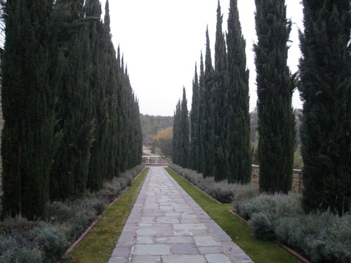 DSC00753