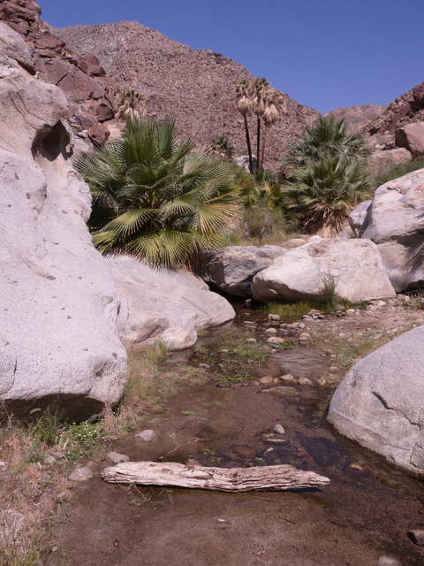 P1110759