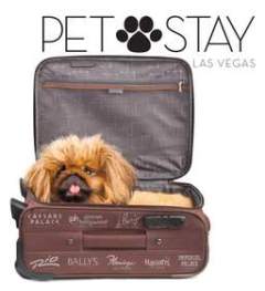 PET STAY