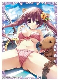 CARD-00003048