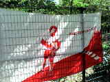 terry_fox