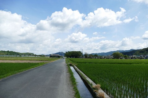 P1870610-s