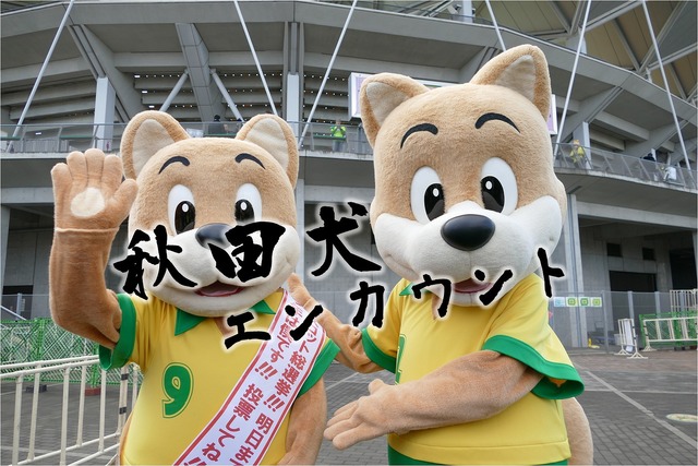 秋田犬エンカウント-s