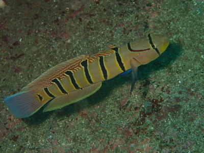 P9171403