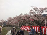 IMG_4705