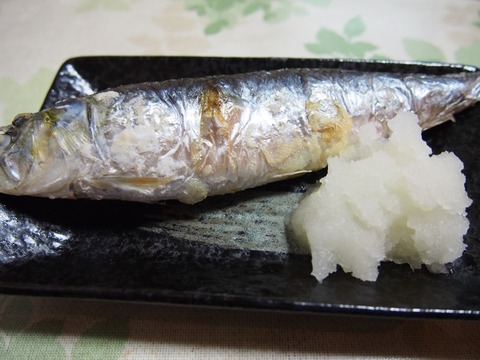 P6290034s