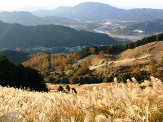 川口萱地