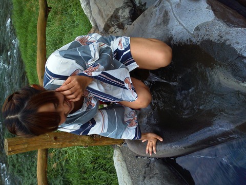 49d00d1c.jpg
