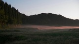 稲葉山の麓の朝もや