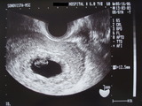 e58a50f2.jpg