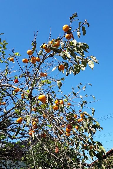 20181021_110457