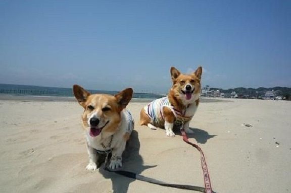 20120417