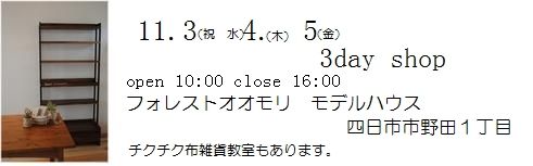 3day11.3