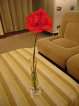 ae77139f.jpg