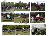 賀茂競馬1