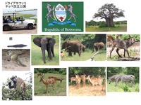 Chobe