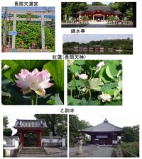 長岡1
