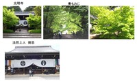 komyoji1