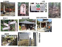 深泥池周辺