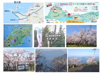 siundeyama1